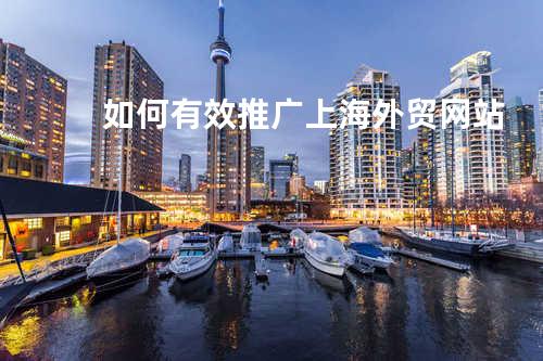 如何有效推广上海外贸网站