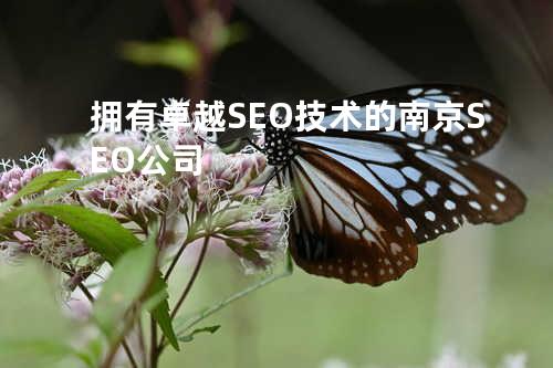 拥有卓越SEO技术的南京SEO公司