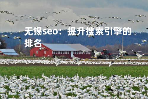 无锡seo：提升搜索引擎的排名