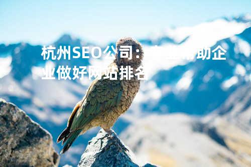 杭州SEO公司：专业帮助企业做好网站排名