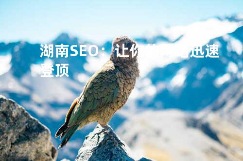 湖南SEO：让你的网站迅速登顶