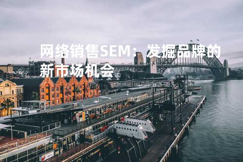 网络销售SEM：发掘品牌的新市场机会