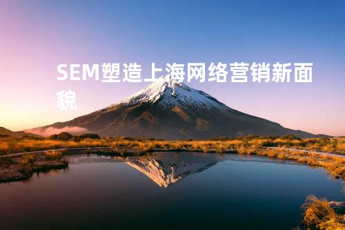 SEM塑造上海网络营销新面貌