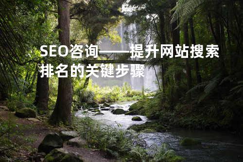 SEO咨询——提升网站搜索排名的关键步骤