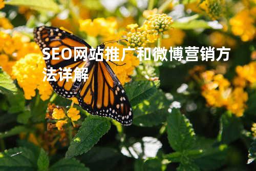 SEO网站推广和微博营销方法详解