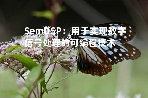 Sem DSP：用于实现数字信号处理的可编程技术